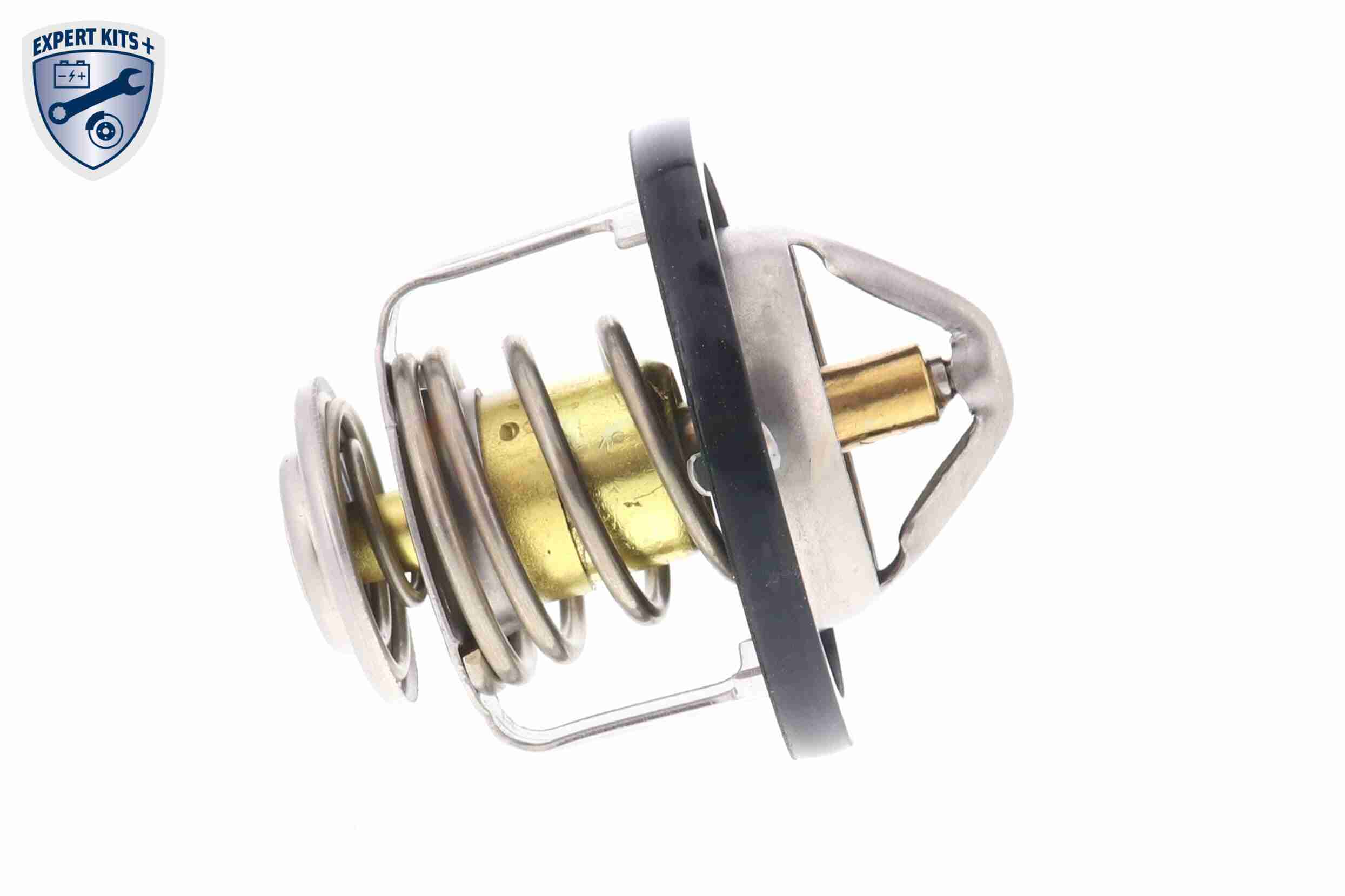 Ackoja Thermostaat A55-99-0001