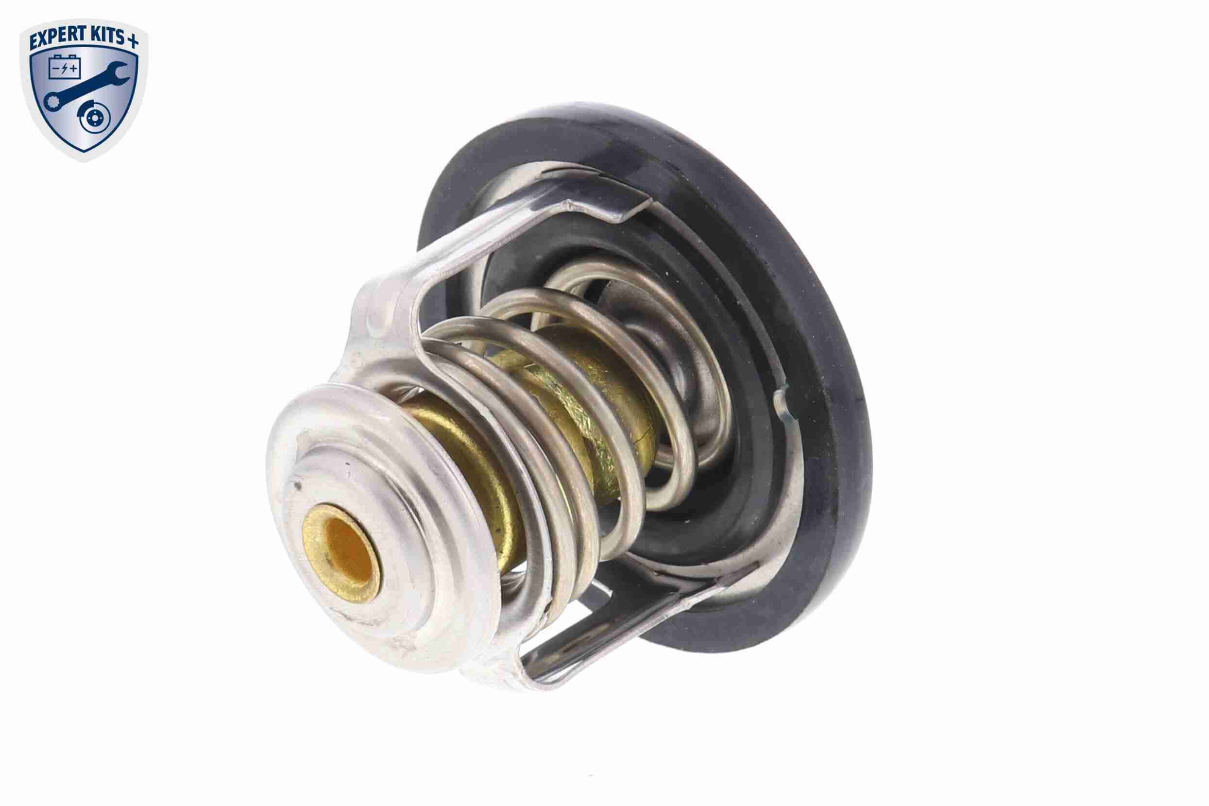 Ackoja Thermostaat A55-99-0001