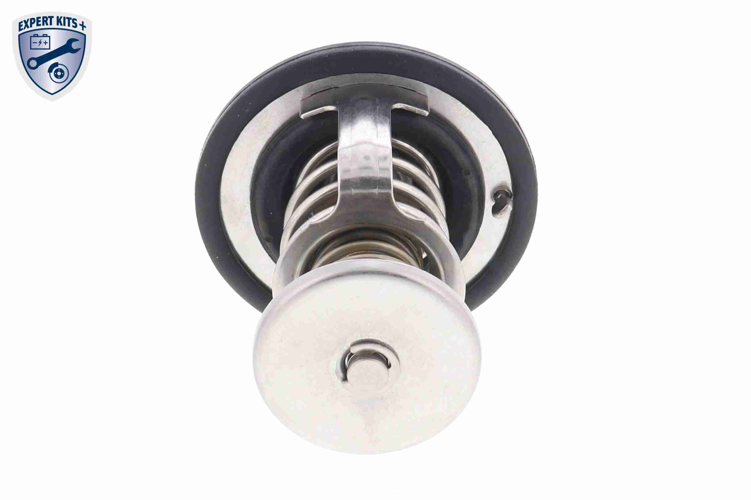 Ackoja Thermostaat A55-99-0002