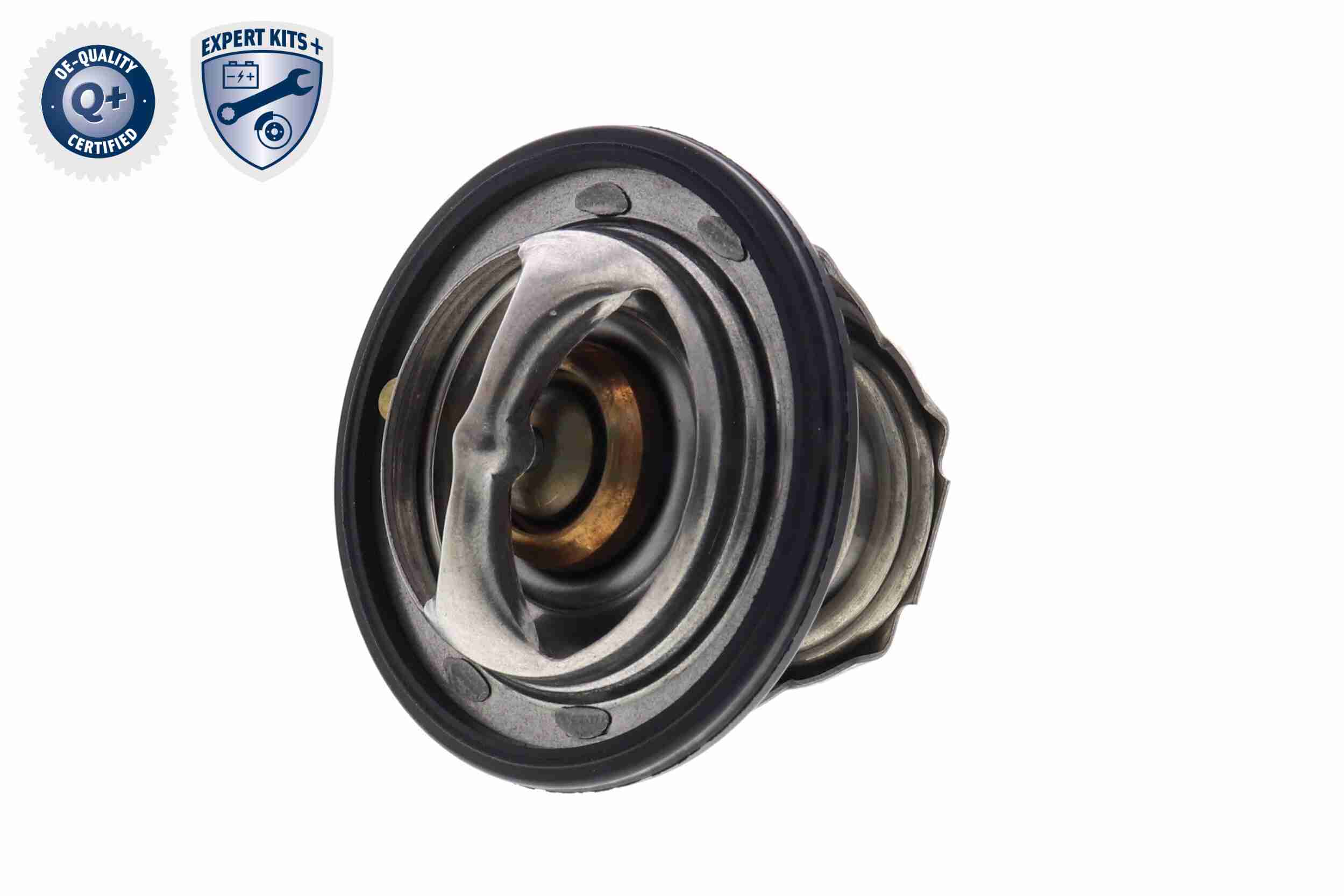 Ackoja Thermostaat A63-99-0004