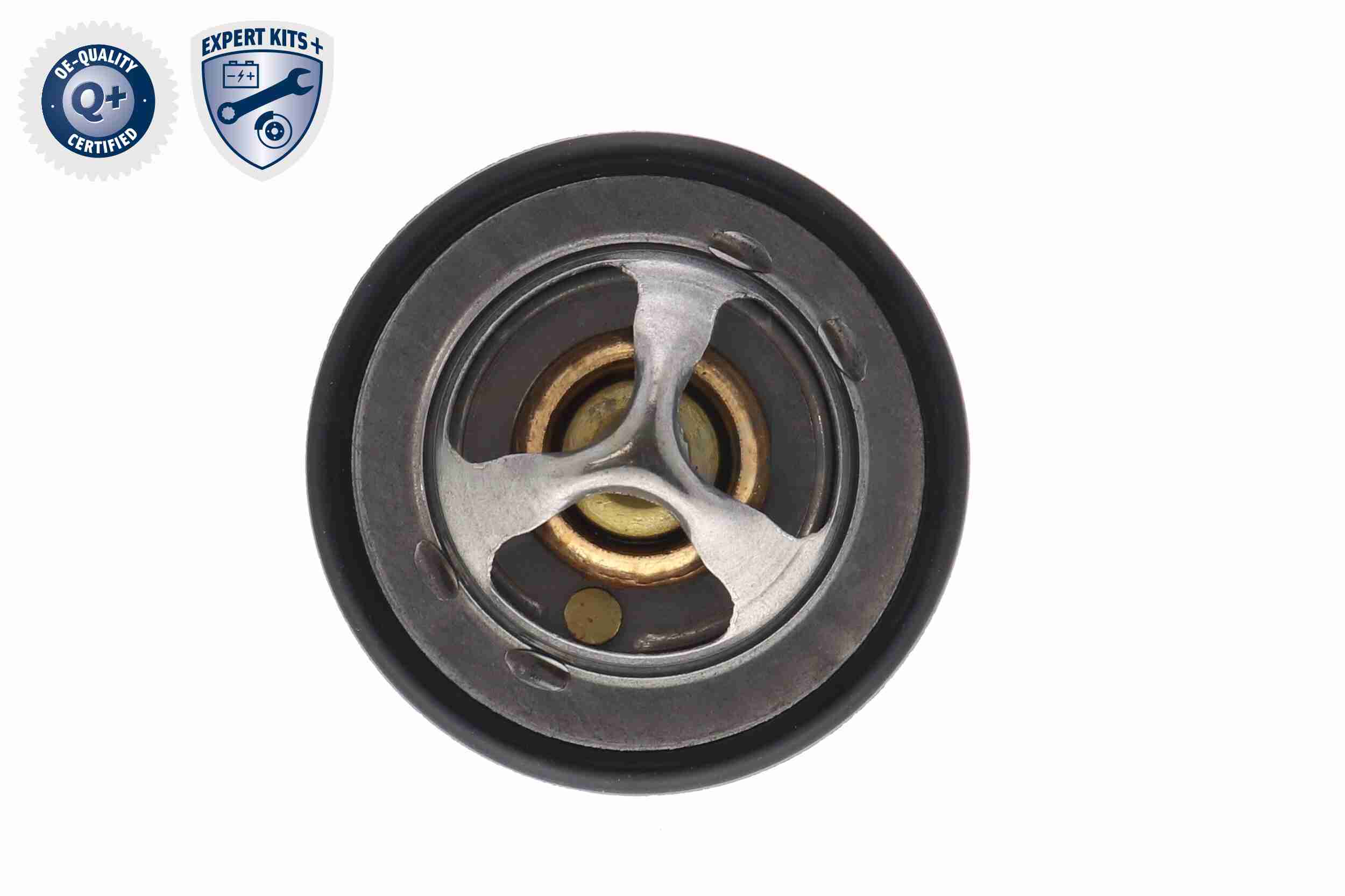 Ackoja Thermostaat A70-99-0031