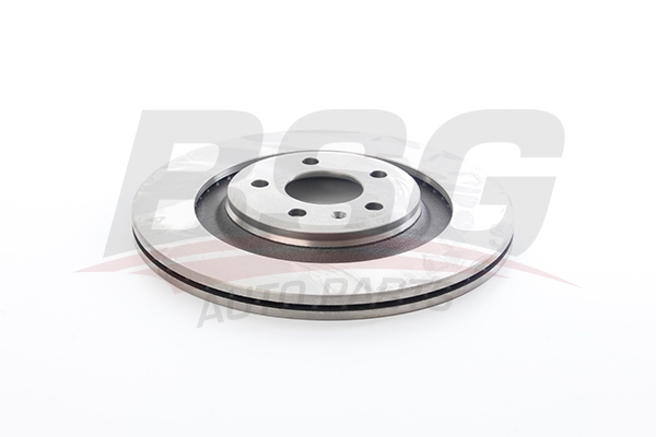 BSG Remschijven BSG 11-210-003