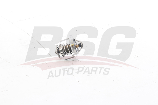 BSG Thermostaat BSG 16-125-008