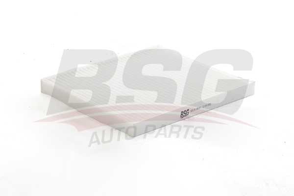 BSG Interieurfilter BSG 25-145-011