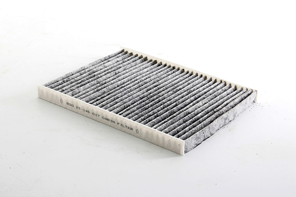 BSG Interieurfilter BSG 25-145-017