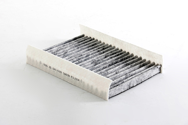 BSG Interieurfilter BSG 25-145-020