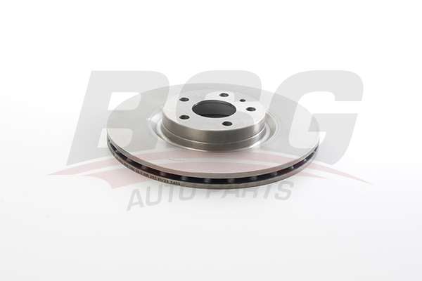 BSG Remschijven BSG 25-210-004