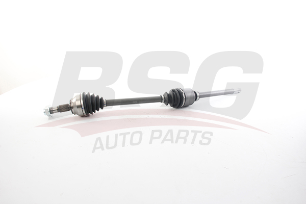 BSG Aandrijfas BSG 25-350-005