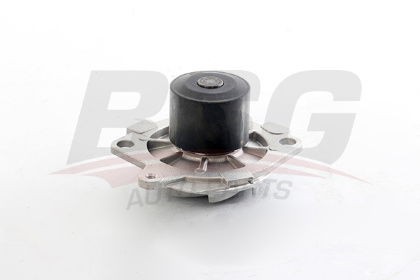 BSG Waterpomp BSG 25-500-008