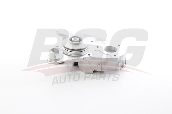 BSG Waterpomp BSG 25-500-010