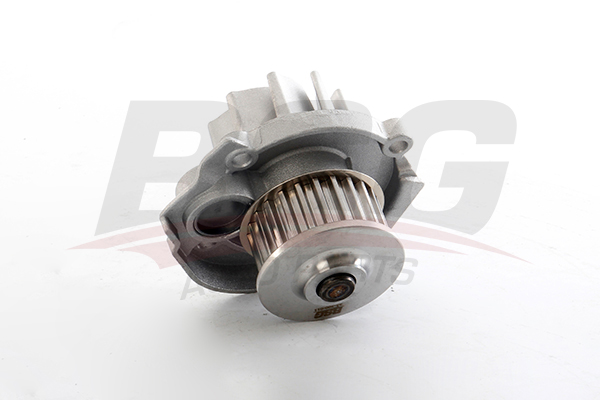 BSG Waterpomp BSG 25-500-011