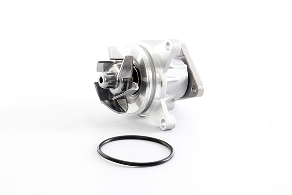 Waterpomp BSG BSG 30-500-025