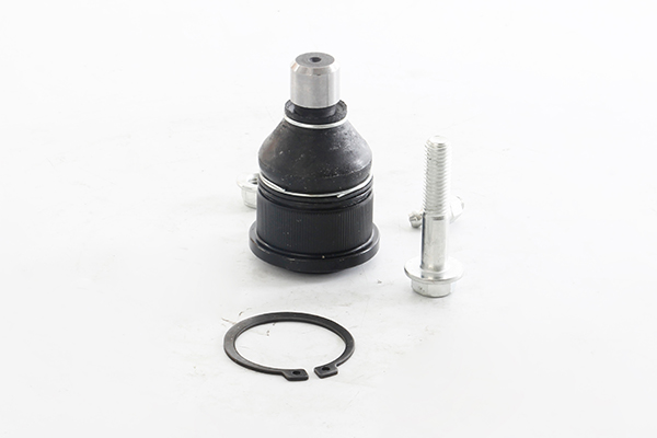 Fuseekogel BSG BSG 55-310-001