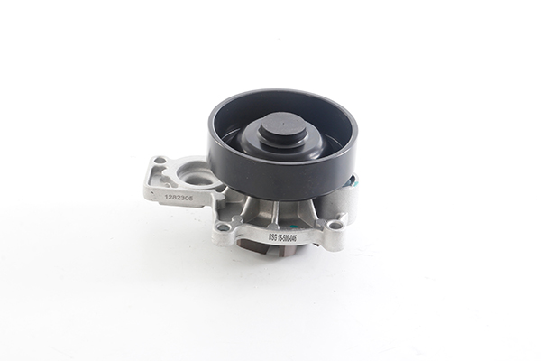 Waterpomp BSG BSG 15-500-046