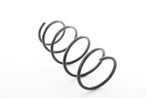 Veer BSG BSG 15-305-017