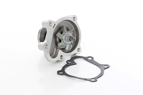 Waterpomp BSG BSG 65-500-020