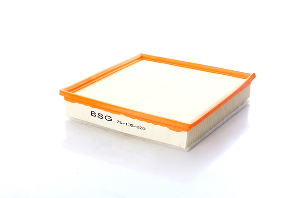 Luchtfilter BSG BSG 75-135-020