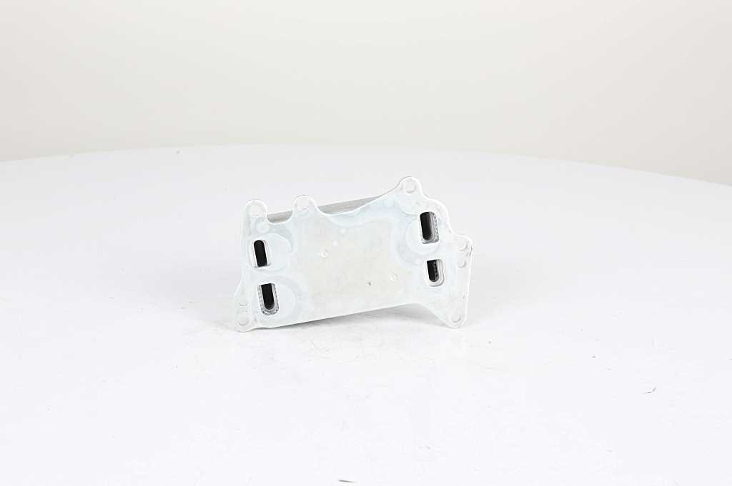 Oliekoeler motorolie BSG BSG 15-506-013