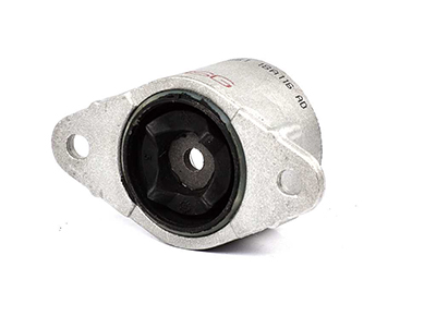 Veerpootlager & rubber BSG BSG 30-700-315