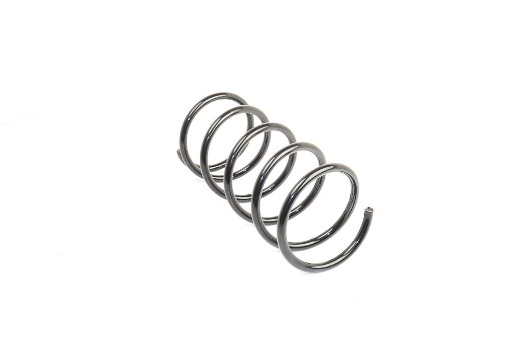 Veer BSG BSG 70-305-002