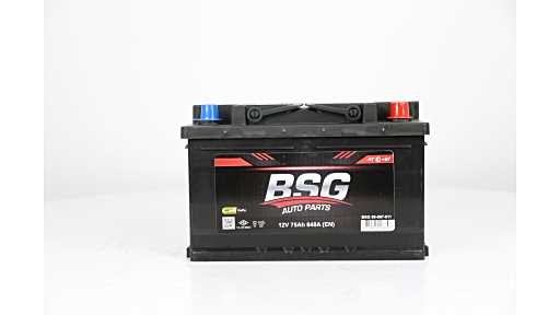 Accu BSG BSG 99-997-011