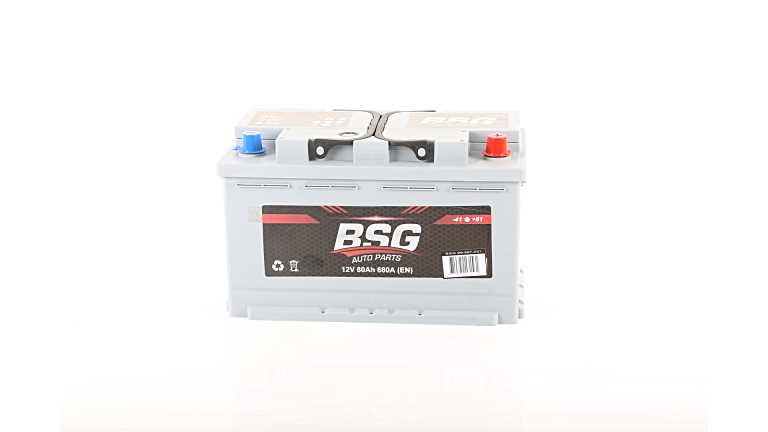 Accu BSG BSG 99-997-021