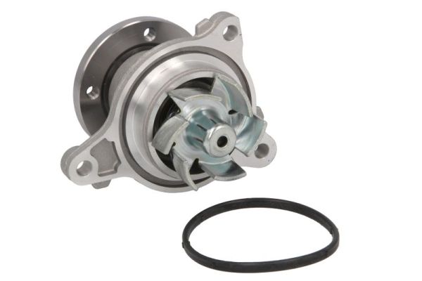 Thermotec Waterpomp D10538TT