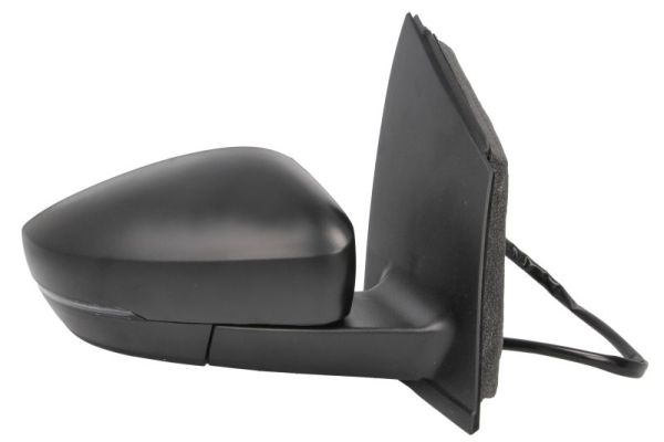 Blic Buitenspiegel 5402-01-2002706P