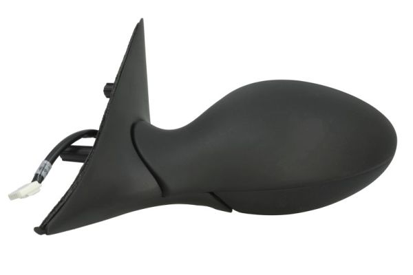 Blic Buitenspiegel 5402-04-1125273P