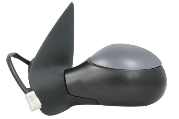 Blic Buitenspiegel 5402-04-1125287P