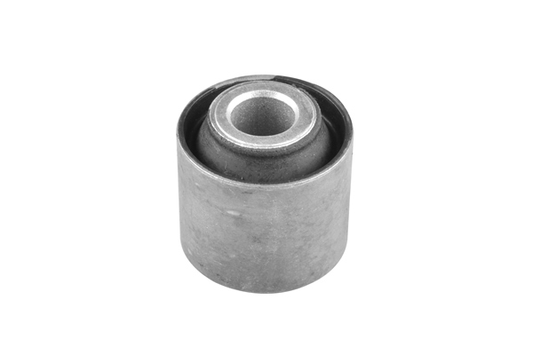 Tedgum Draagarm-/ reactiearm lager 00410377