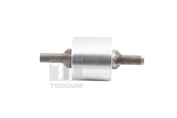 Tedgum Draagarm-/ reactiearm lager TED13672