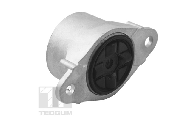 Tedgum Veerpootlager & rubber TED95297