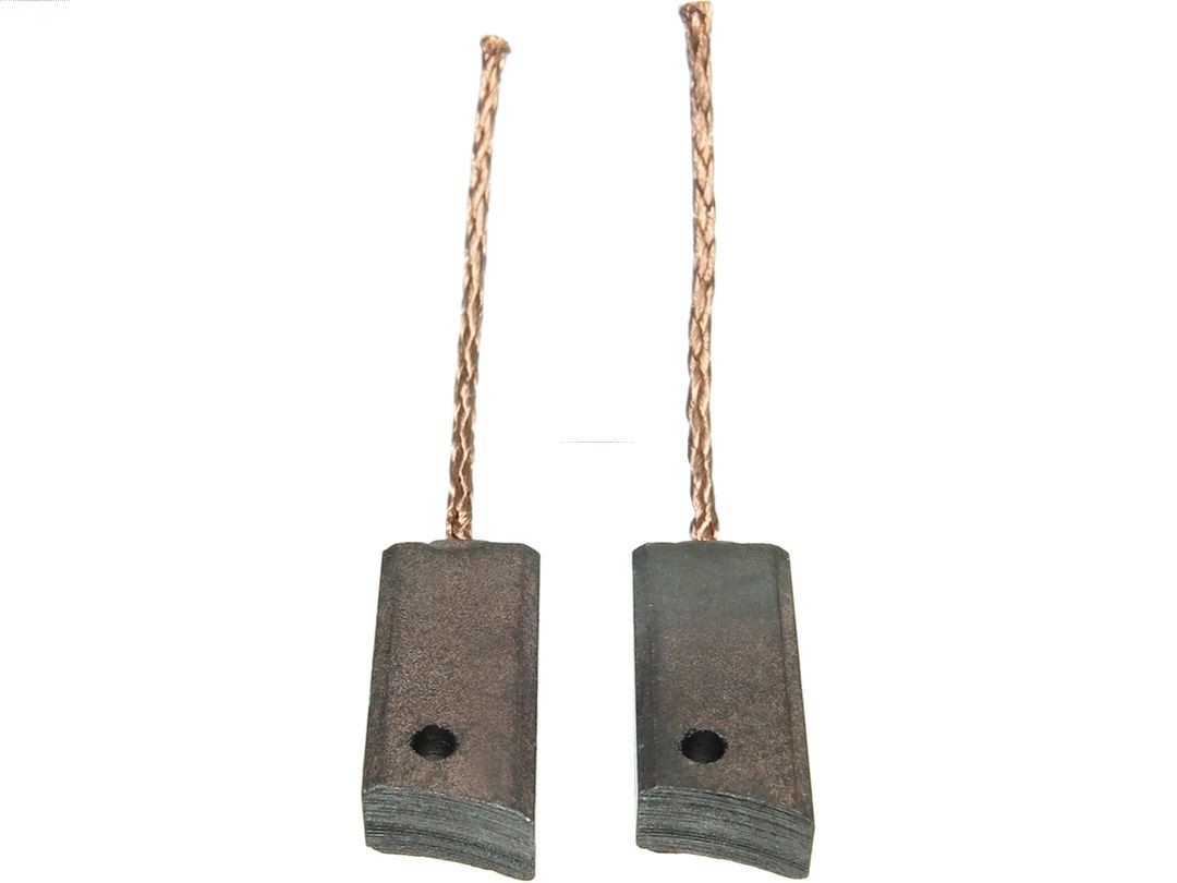 Kolenborstel, dynamo AS-PL AB2004