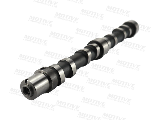 Motive Nokkenas T4519