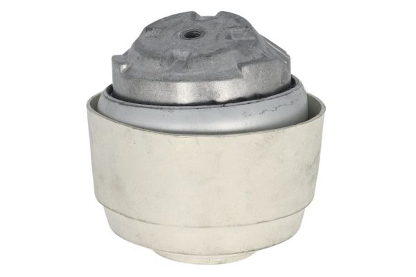 Reinhoch Aslichaam-/motorsteunlager RH11-3171