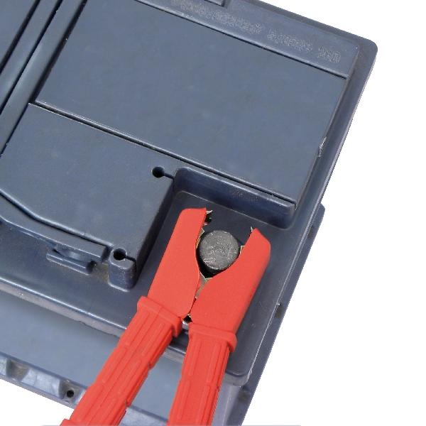 Carpoint Accupooltang 100A 2st 35953 Carpoint Accupooltang 100A 2st 35953