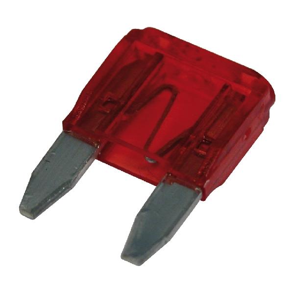 Carpoint Ministeekzekering 10A 50st 23351 Carpoint Ministeekzekering 10A 50st 23351