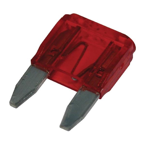 Carpoint Ministeekzekering 10A 50st 23351 Carpoint Ministeekzekering 10A 50st 23351