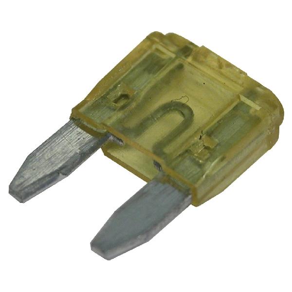 Carpoint Ministeekzekering 20A 50st 23353 Carpoint Ministeekzekering 20A 50st 23353