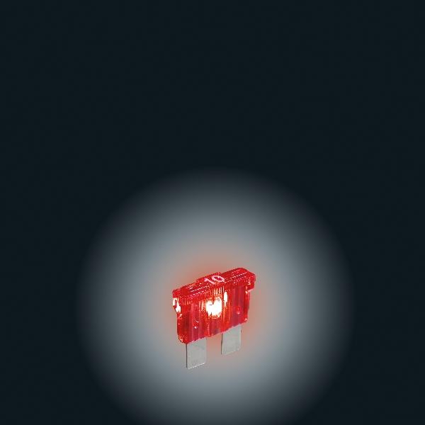 Carpoint Steekzekering met licht assorti 10st 23951 Carpoint Steekzekering met licht assorti 10st 23951