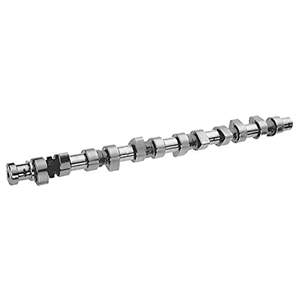 AE Nokkenas CAM540