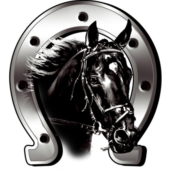 Mijnautoonderdelen AutoTattoo Horse + Horseshoe 6x7cm AV 124025 Mijnautoonderdelen AutoTattoo Horse + Horseshoe 6x7cm AV 124025